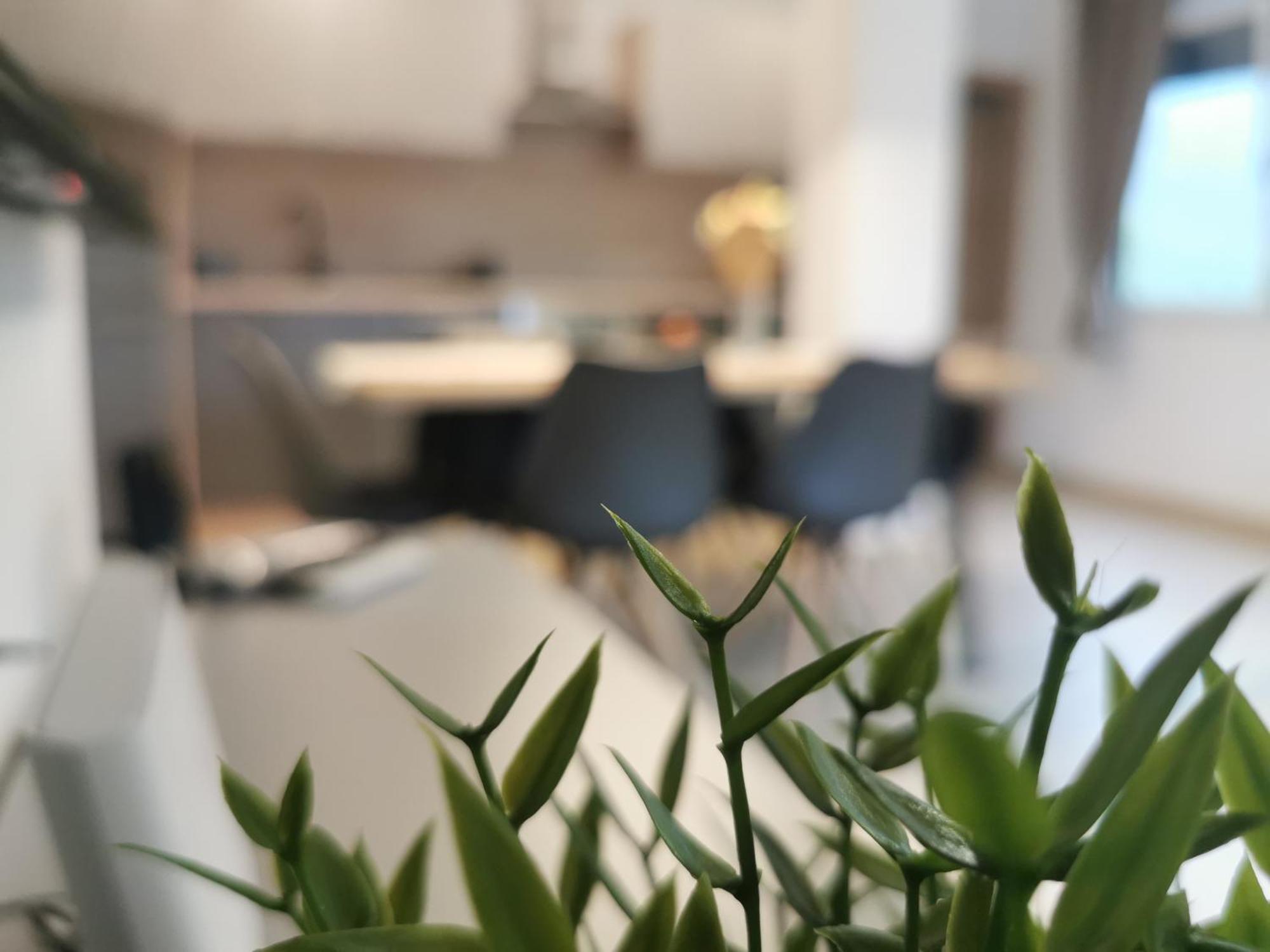 Apartma Bella Nadiza Kobarid Exterior foto